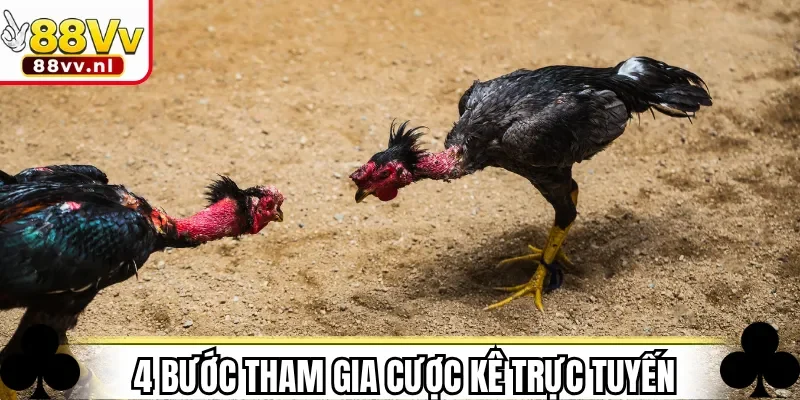 4 bước tham gia cược kê trực tuyến