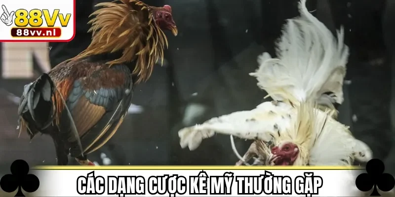 Các dạng cược kê Mỹ thường gặp